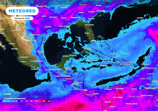 ¿Dónde va a llover en México esta semana? Aquí el pronóstico de precipitaciones y viento de Meteored con Juan A. Palma