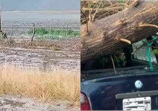 Tormentas severas con granizo y ráfagas en Mendoza y Córdoba dejaron caída de árboles, destrozos en viñedos y un muerto 