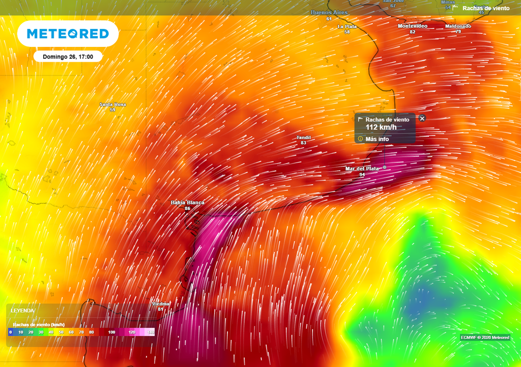 Ráfagas de viento pronosticadas por el ECMWF para la tarde de este domingo.