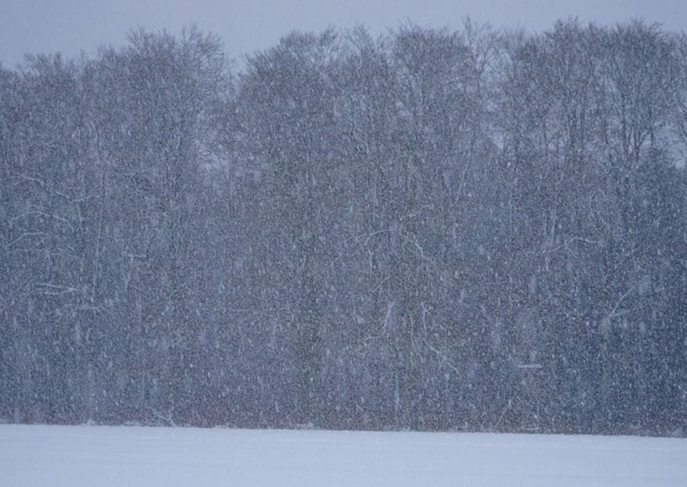 La settimana prossima colpo di coda invernale La settimana prossima colpo di coda invernale