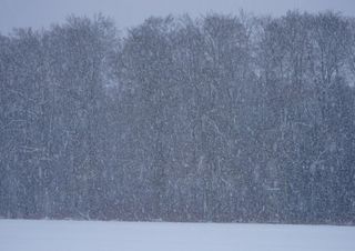 Torna il freddo, ma non scomodiamo il Buràn