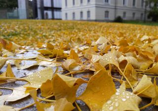Torna l'autunno in settimana al Nord, ancora piena estate al Sud