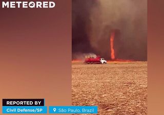 ¡Tornado de fuego en São Paulo, Brasil! El peligroso fenómeno ocurrió en una plantación de caña de azúcar