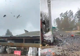 Tornado en Linares: DMC confirma fenómeno y lo clasifica como categoría EF0 tras investigación en terreno