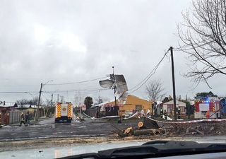 Tornado en Tucapel: Casas y árboles destruidos, y personas en shock