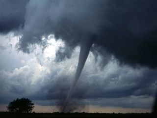 Tornado in der Pfalz!