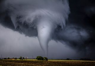 Tornados: qué son, cómo se forman, cuál es su poder destructivo y en qué zonas son más frecuentes 