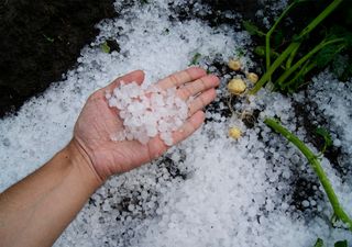 Tornados, granizadas... ¿hay más fenómenos extremos o más móviles?