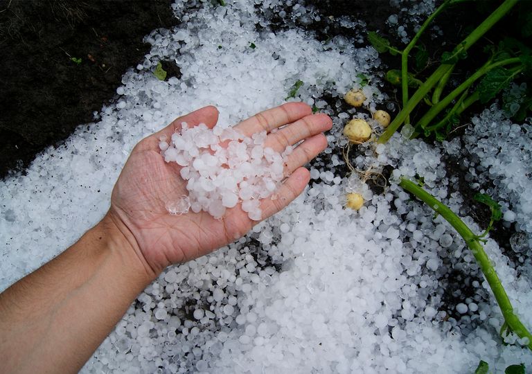 Granizada Granizada