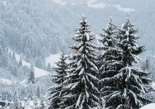 Tornano pioggia e neve, sorprese nelle temperature! A quando il freddo?