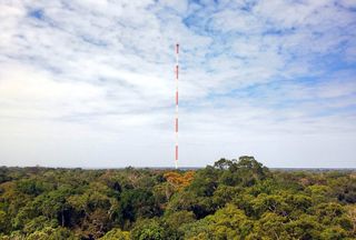 Torre ATTO: a maior torre de pesquisa do mundo