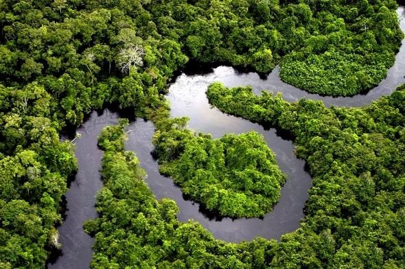 Figura 1.- El corazón de la Amazonía será el lugar donde se eriga la torre meteorológica más alta del mundo