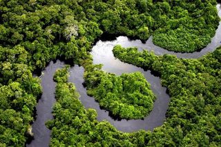 Torre meteorológica de altura en la Amazonía