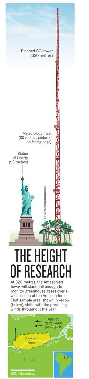 Figura 2.- Tamaño relativo de la ATTO con respecto a la Estatua de la Libertad y una de las torres meteorológicas de 80 m de altura también proyectadas. Fuente: www.nature.com