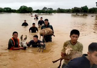 Lluvias torrenciales provocan severas afectaciones en Perú y Ecuador