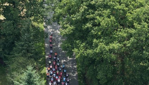 Tour de France 2026 : pourquoi les organisateurs ont-ils fait abattre 800 arbres dans le Haut-Rhin ?