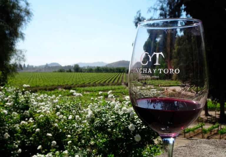 Tour premium en Pirque: descubre el nuevo Centro del Vino de Concha y Toro y sus experiencias enoturísticas