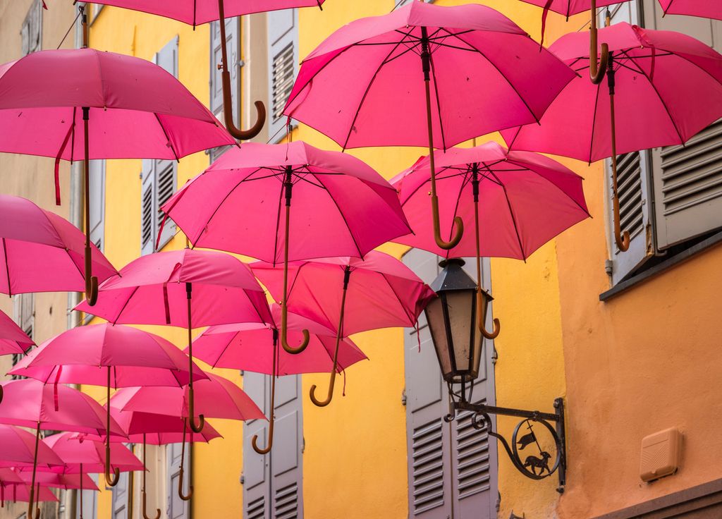 Les parapluies roses, caractéristiques de Grasse, symbolisent la rose. Les parapluies roses, caractéristiques de Grasse, symbolisent la rose.