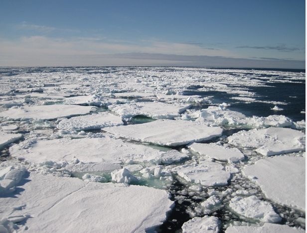 Capa de hielo en el océano Ártico Capa de hielo en el océano Ártico. Foto: CARLOS DUARTE