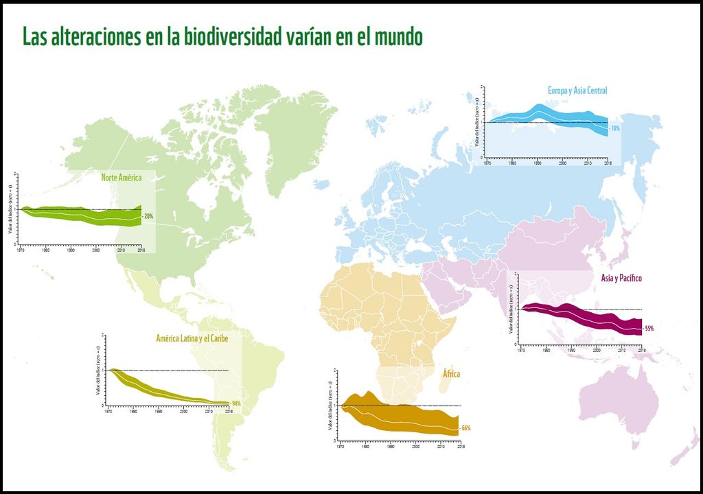 Cambio en la biodiversidad por regiones en el mundo Cambio en la biodiversidad por regiones en el mundo