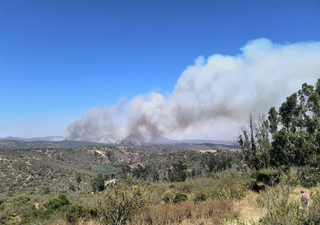 Tragedia en Chile: Incendios devastadores dejan víctimas fatales y desaparecidos en la Región de Valparaíso