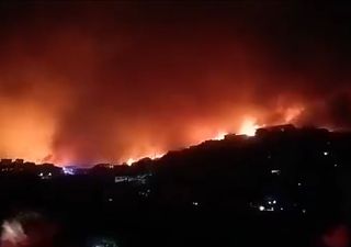 Trágico incendio forestal en Viña del Mar consume centenares de viviendas