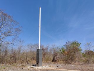 Trampas caseras para insectos en frutales: cómo hacerlas y cuándo usarlas