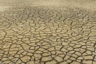 Transformación, el nuevo concepto asociado al cambio climático