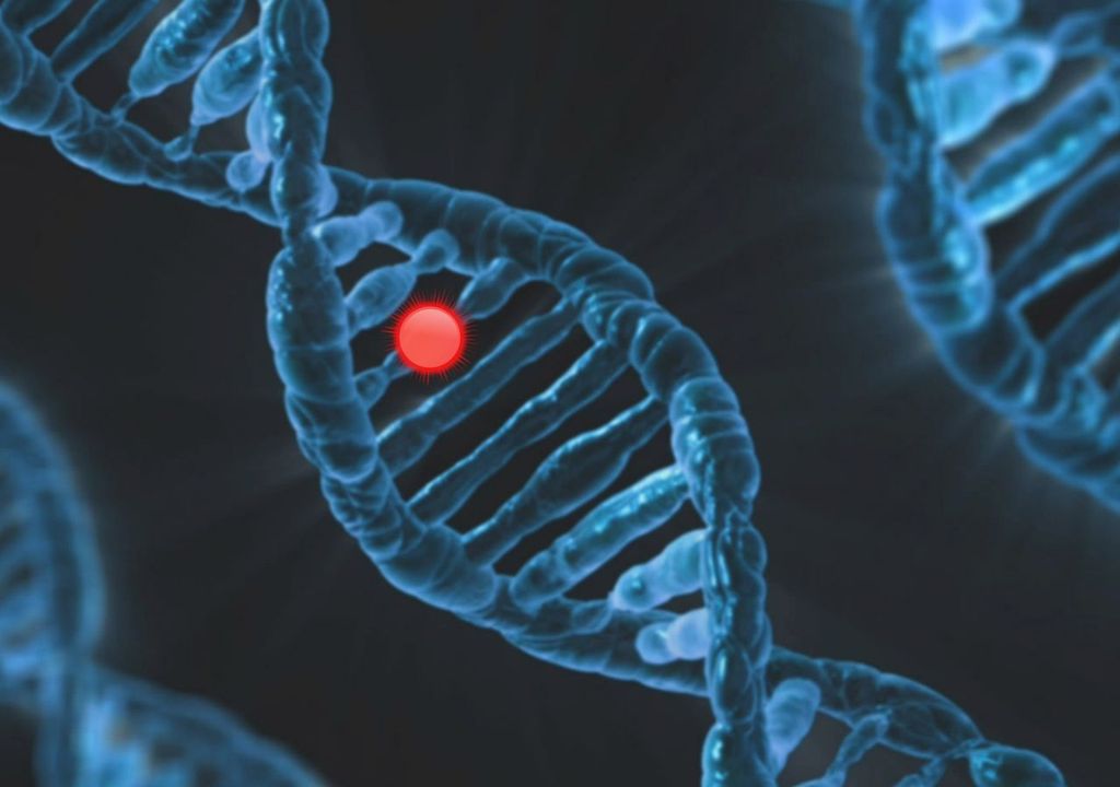 Descubrimiento en el permafrost de Siberia es clave para la genética, Meteored, Chile Descubrimiento en el permafrost de Siberia es clave para la genética, Meteored, Chile