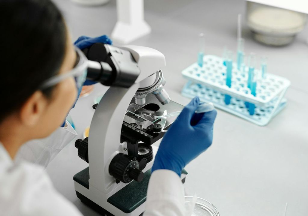 Descubrimiento en permafrost de Siberia clave para la genética, Meteored, Chile Descubrimiento en permafrost de Siberia clave para la genética, Meteored, Chile