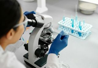 Tras 46.000 años congelado en el permafrost de Siberia, este organismo revela el misterio de la genética