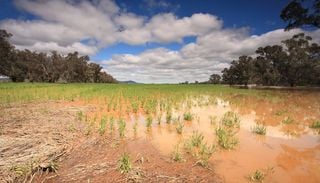 Tras la emergencia agr&iacute;cola declarada, una buena noticia para el campo: la nieve podr&iacute;a asegurar agua por a&ntilde;os