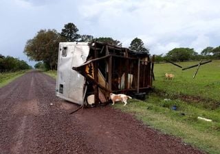 Tras las intensas tormentas, regresa la calma con tiempo más fresco