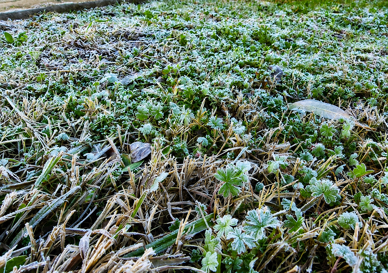 Las heladas radiativas se forman durante madrugadas despejadas y con poco viento, condiciones que favorecerán el descenso de las temperaturas en los principales valles agrícolas de la zona central.