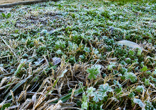 Tras las lluvias llegan las heladas: el cambio atmosf&eacute;rico que pondr&aacute; a prueba a la agricultura de la zona central