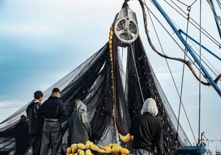 Tratado de Alta Mar: acuerdo histórico mundial para cuidado de los océanos