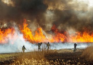 O trauma relacionado com o clima pode ter efeitos duradouros na nossa função cognitiva