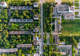 Tree planting could cut 30% of deaths from extreme heat in cities