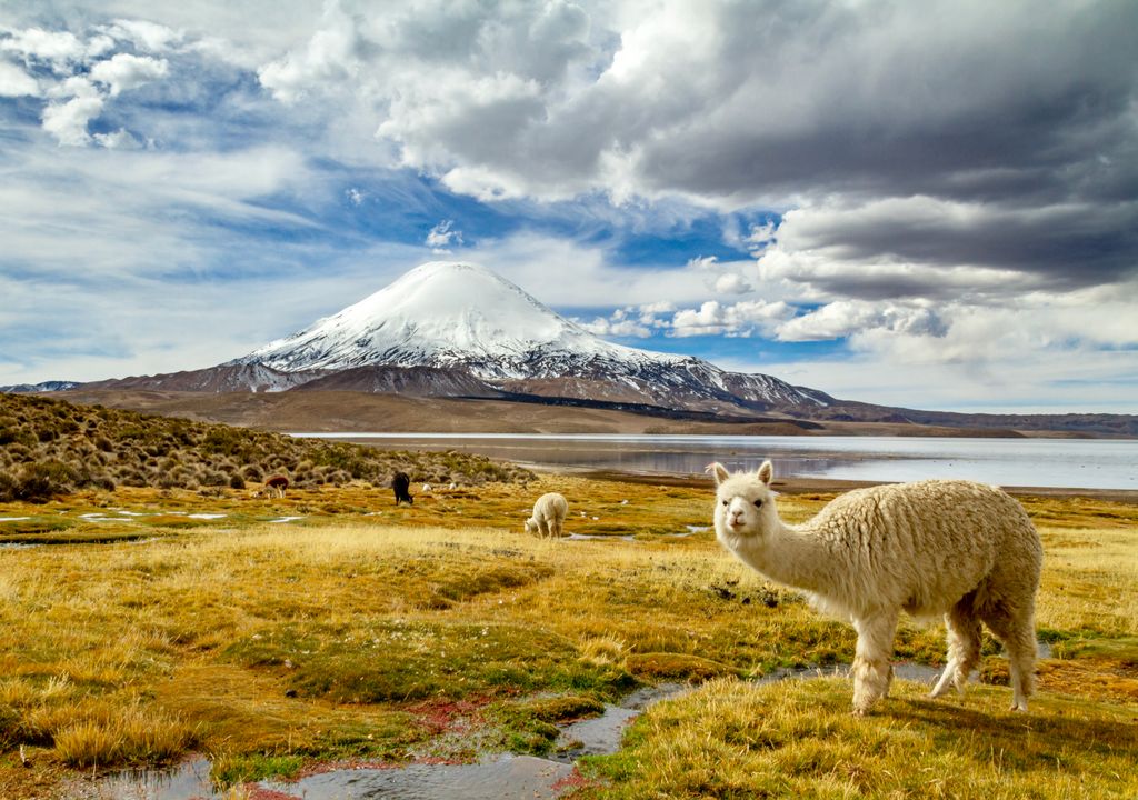 Lago Chungará, Chile. Lago Chungará, Chile.