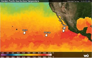 Tren de ciclones tropicales en el Océano Pacífico central y oriental