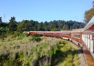 Tren del Recuerdo: destinos, horarios y precios según categoría