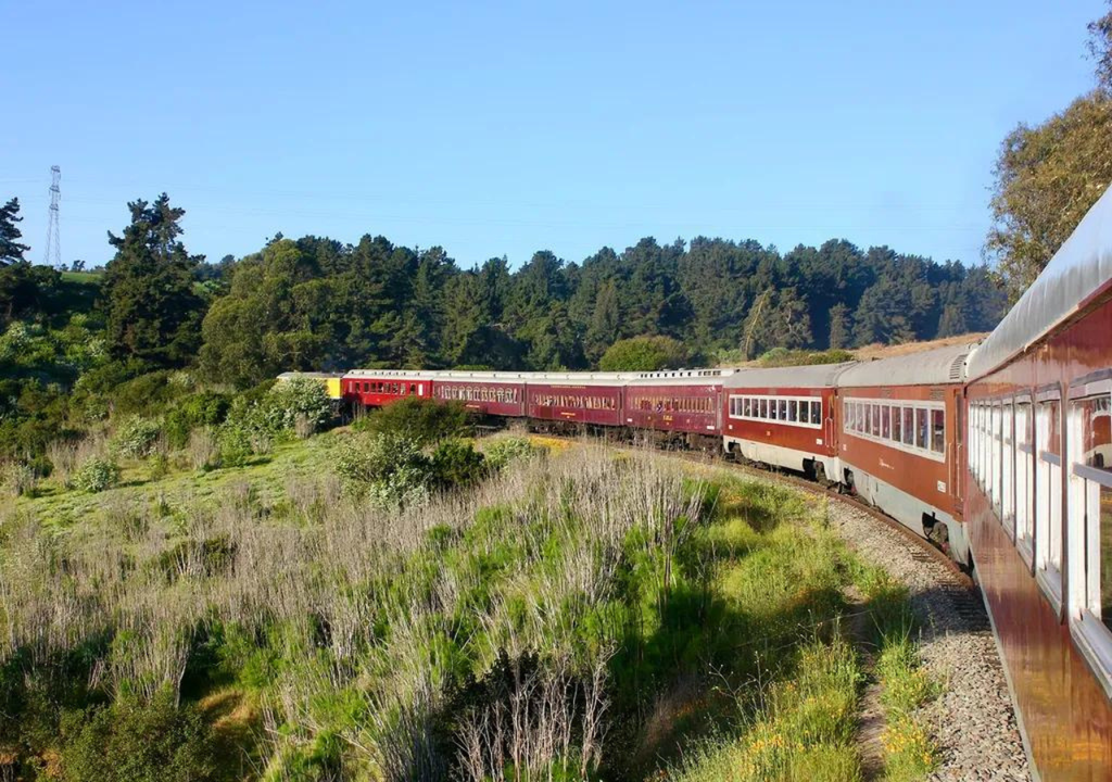 El Tren del Recuerdo invita a disfrutar de los bellos paisajes de la zona central de Chile a bordo de un tren patrimonial. Crédito: EFE Trenes de Chile.