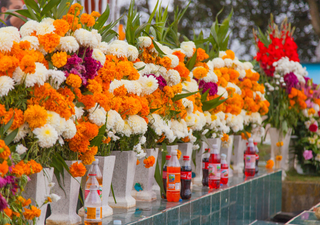 Tres hermosas flores indispensables para adornar el altar de Día de Muertos en tu hogar