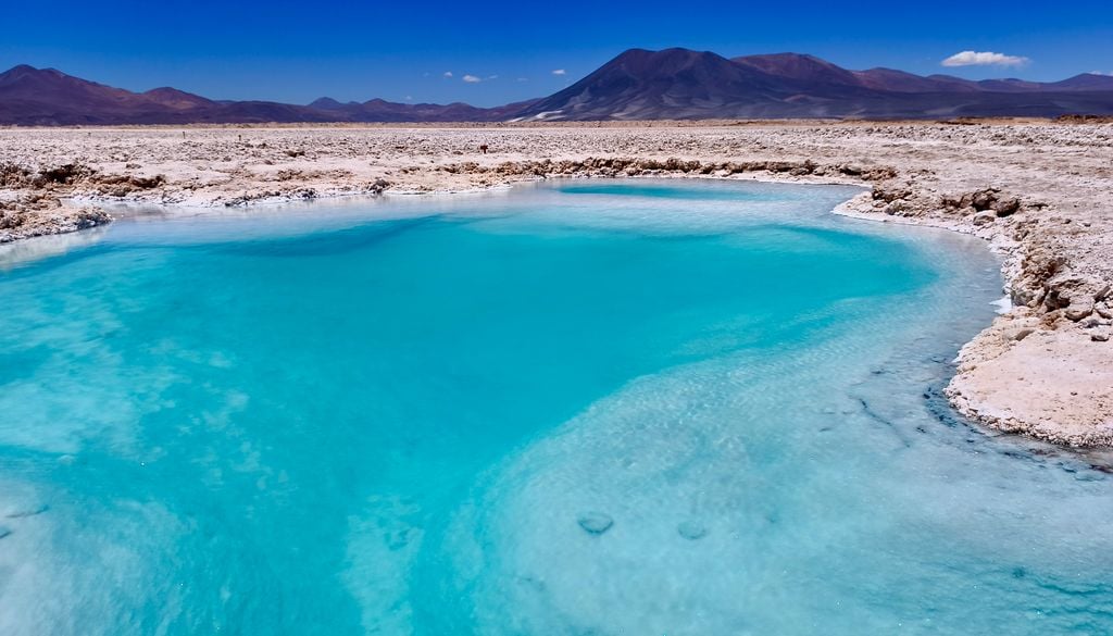 El Salar de Pedernales es toda una joya de la Región de Atacama. Crédito: Catalina Contreras.