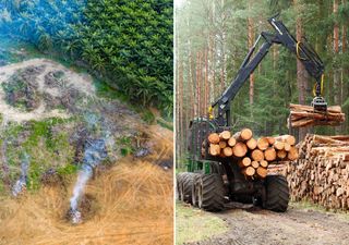 Tres naciones agotarían los recursos naturales que disponemos en el planeta, para el 2025, antes que termine febrero