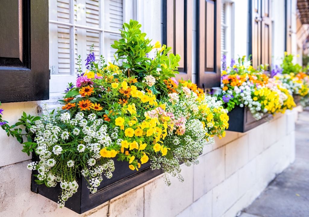 En hogares donde el espacio escasea, especialmente en balcones y departamentos, las macetas no se multiplican tan fácil.