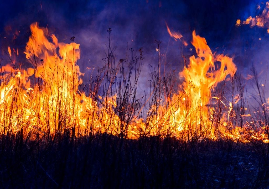 Fuego en malezas