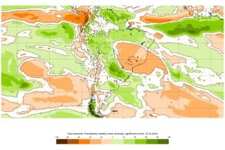 Excesso de chuva atrasa a semeadura do trigo no RS enquanto que o clima favorece o PR; entenda aqui