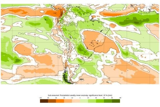Excesso de chuva atrasa a semeadura do trigo no RS enquanto que o clima favorece o PR; entenda aqui