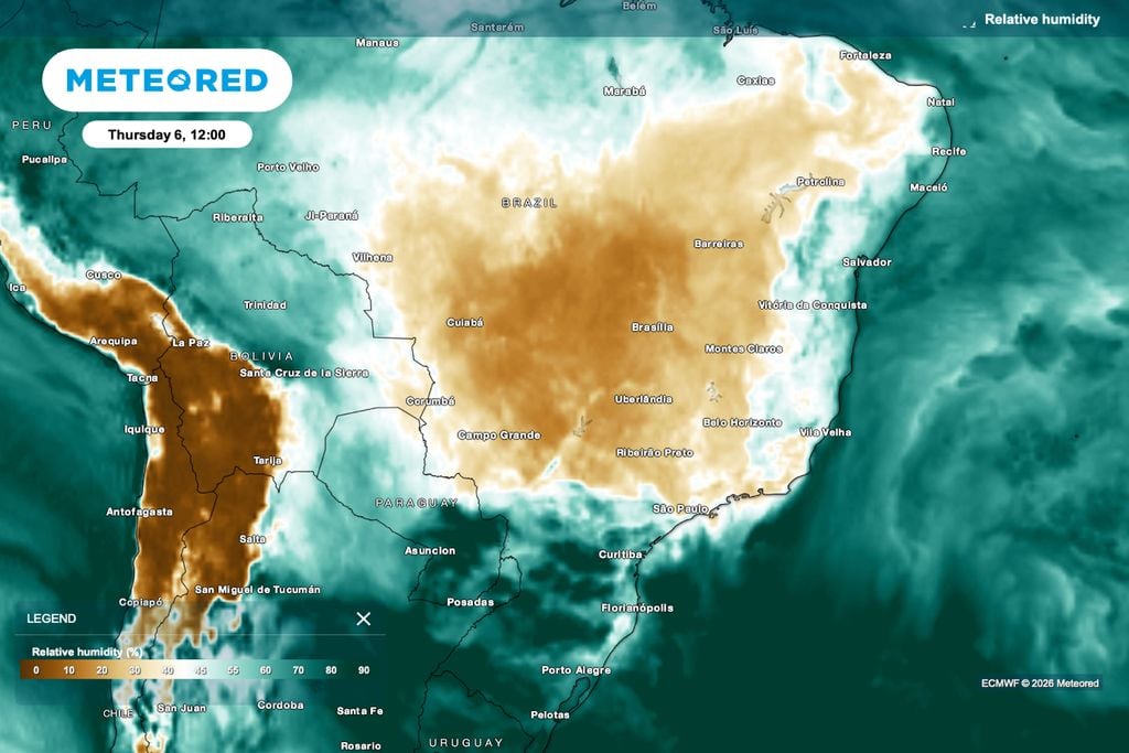 Mato Grosso, umidade Floração e enchimento definem peso e uniformidade